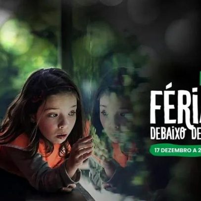 Oceanário de Lisboa reabre portas para férias de Natal com vista para o fundo do mar