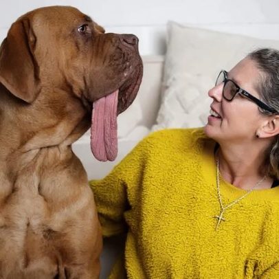 Ozzy, o cão com a língua mais comprida do mundo, novo recorde Guinness