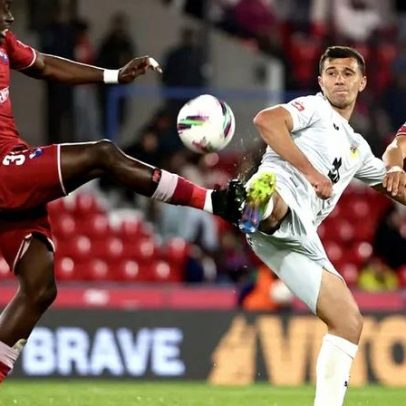 Boas perspetivas para os galos, segundo especialistas