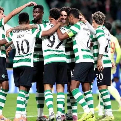 Leão encontra-se em boa saúde e recomenda-se monitorização