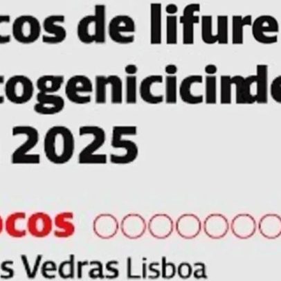 Focos de gripe aviária elevam preços dos ovos