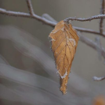 Inverno inicia-se no domingo com frio, chuva e temperaturas baixas