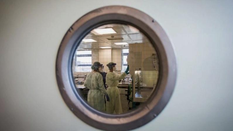 Bactéria identificada reduz inflamação intestinal