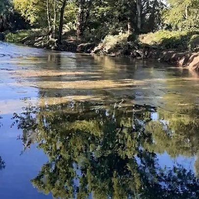 Câmara de Tomar exige intervenção urgente face à degradação do rio Nabão