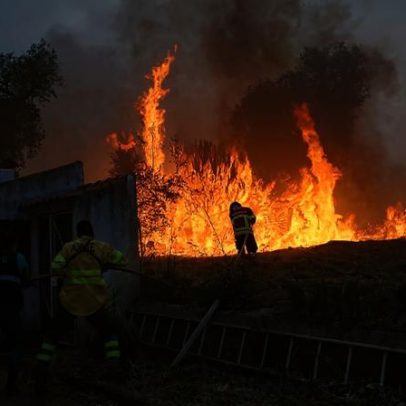 Emigrantes afetados por fogos vão receber indemnizações
