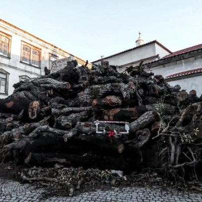 Penamacor acende o Maior Madeiro de Portugal hoje