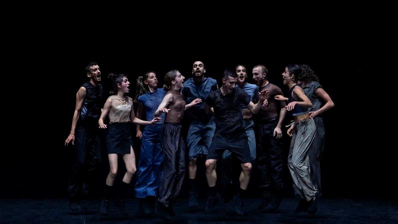 Teatro Municipal do Porto apresenta 11 estreias em 40 espetáculos