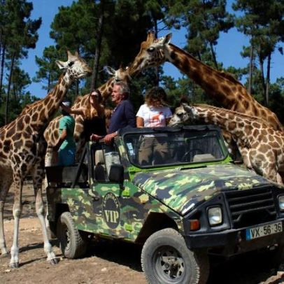 Vouchers com experiências imperdíveis no maior parque temático de Santiago do Cacém