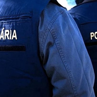 Polícia Judiciária participa em operação da INTERPOL que deteve 85 pessoas