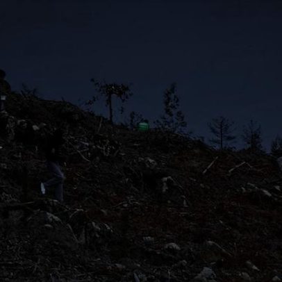 Alunos do IPV reflorestam na Serra do Crasto, Viseu