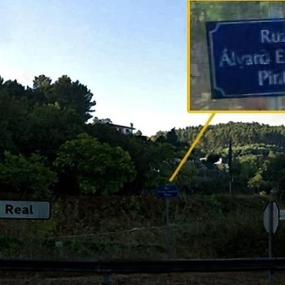 Da Amarante às eleições no Uruguai: a árvore de Jorge Pinto