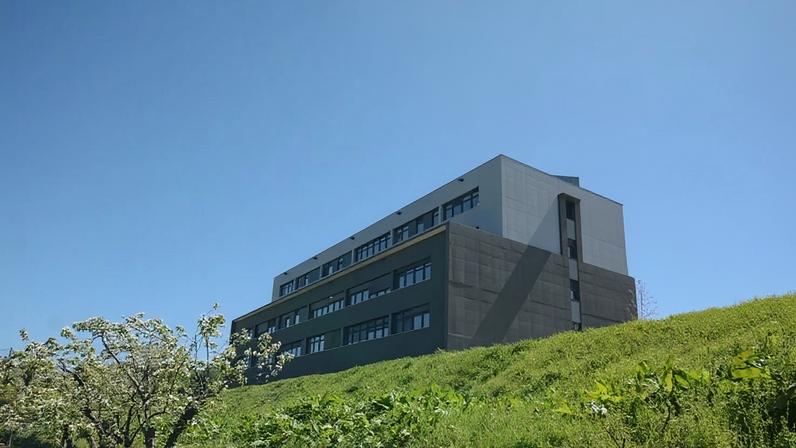 Rejeitada providência cautelar contra eleições na UTAD