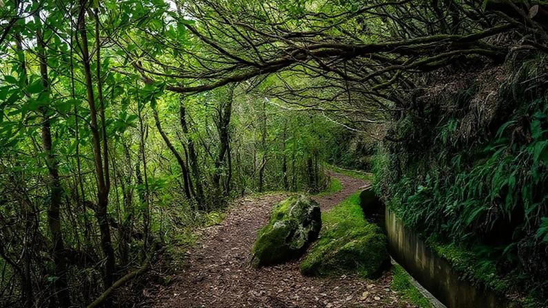Derrocada fecha temporariamente o percurso pedestre PR 10 Levada do Furado