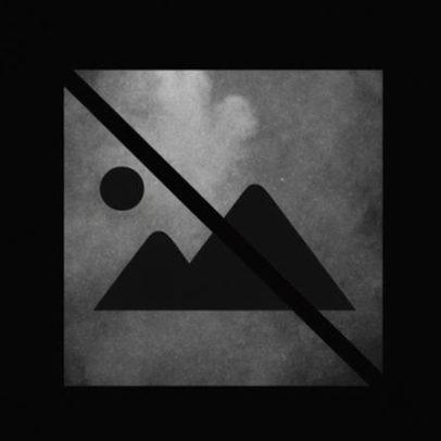 Felgueiras conclui PISA for Schools com 332 alunos de 15 anos