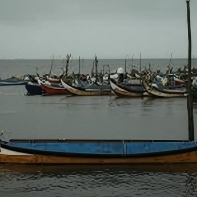 CMA celebra Barco Moliceiro na lista UNESCO de Património Imaterial em Salvaguarda