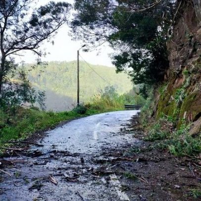 Queda de árvores bloqueia estrada na Tabua