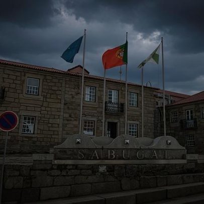 Gripe das aves detectada em Santarém e Vila Real