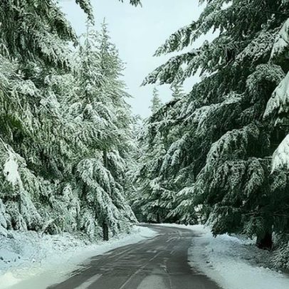 Passagem de Ano com neve esgota hotéis na Serra da Estrela
