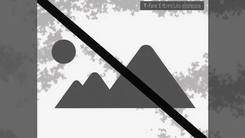 “Traquinices de Natal” encheu o Cineteatro Municipal de Nelas de alegria