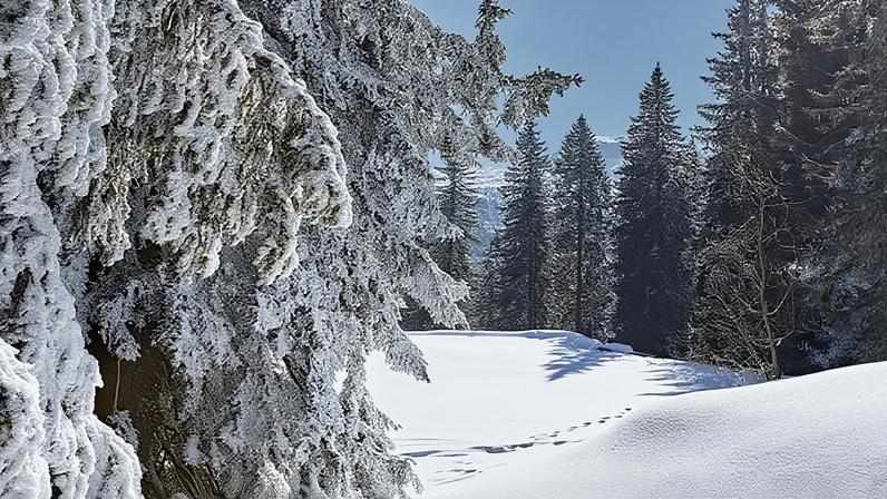 Nove distritos sob aviso devido à neve: inverno começa com chuva e frio