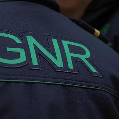 Relatório semanal aponta atividade operacional