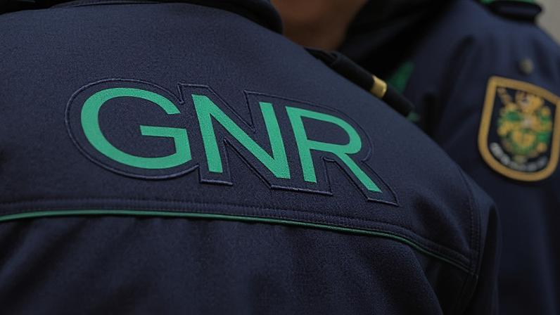 Relatório semanal aponta atividade operacional