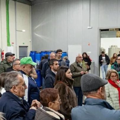 VIII Encontro do Medronho Pampilhosa da Serra destaca valor económico e turístico
