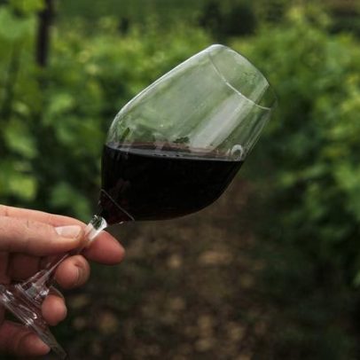 Palmela inaugura unidade pioneira que transforma CO₂ do vinho em inovação