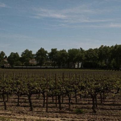 Produção de vinho cai 20% ao menor valor da década
