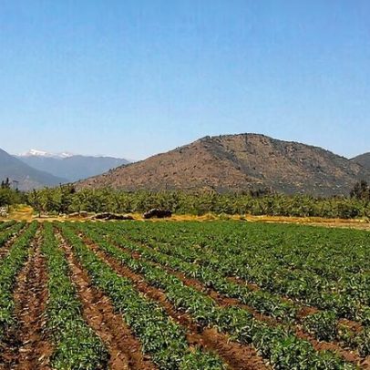 Projeto Chile: governo apresenta iniciativa para enfrentar desafios