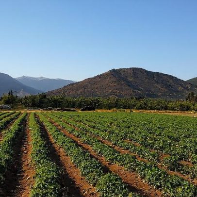 Projeto Chile gera debate sobre políticas públicas e impactos