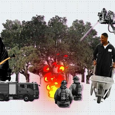 Europa: regiões onde as florestas crescem mais rapidamente