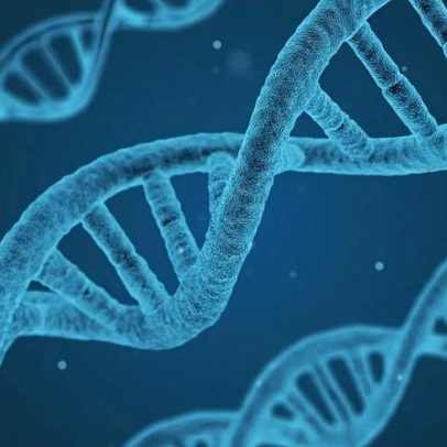AlphaGenome: IA da Google decifra e prevê alterações no ADN