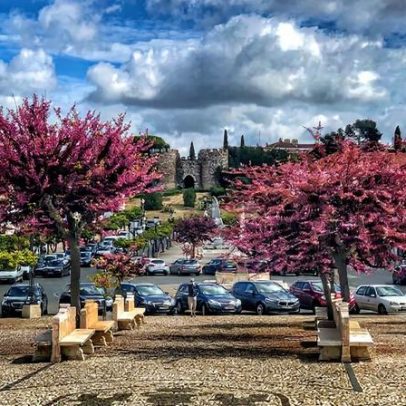 Vila Viçosa regista 11,3% aumento nas visitas a museus e equipamentos culturais