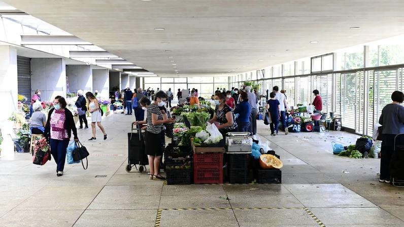 Guimarães anuncia incentivo para feirantes e lojas que promovem a sustentabilidade