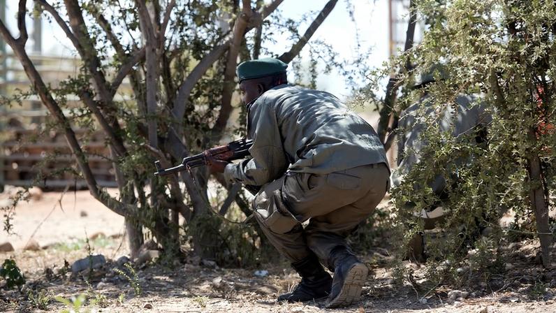 A caça furtiva em Moçambique tem sido uma ameaça à vida selvagem