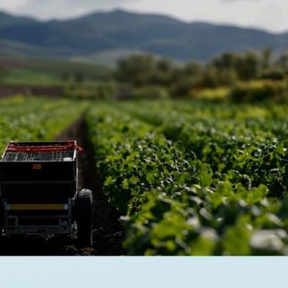 Projetos para dinamizar o interior de Portugal avançam