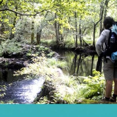 Viajar faz bem e é recomendado, segundo especialistas