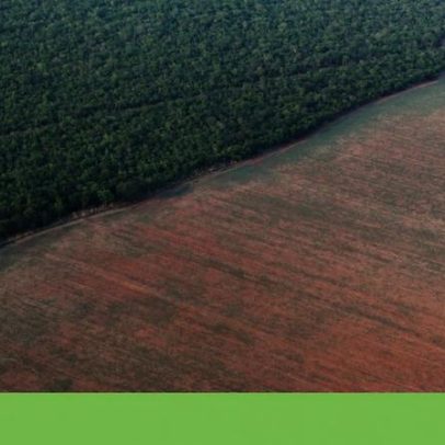 Exportadoras de soja preparam-se para abandonar pacto de proteção da Amazónia