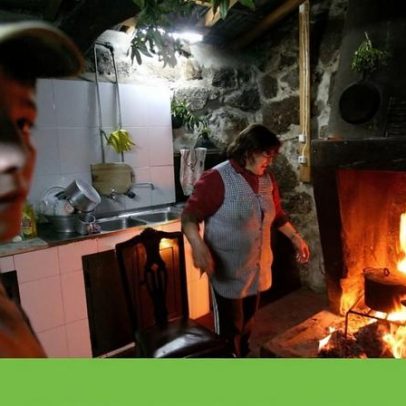 Queimar lenha é pior para o clima do que o carvão, afirma estudo