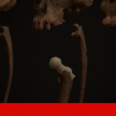 Cientistas dizem ter identificado quando a humanidade deu os primeiros passos