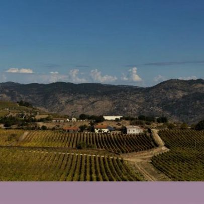 Poesia no Douro: versos acompanhados por um copo de Porto