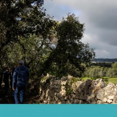 Santa Bárbara de Nexe convida a caminhar pela natureza do barrocal algarvio