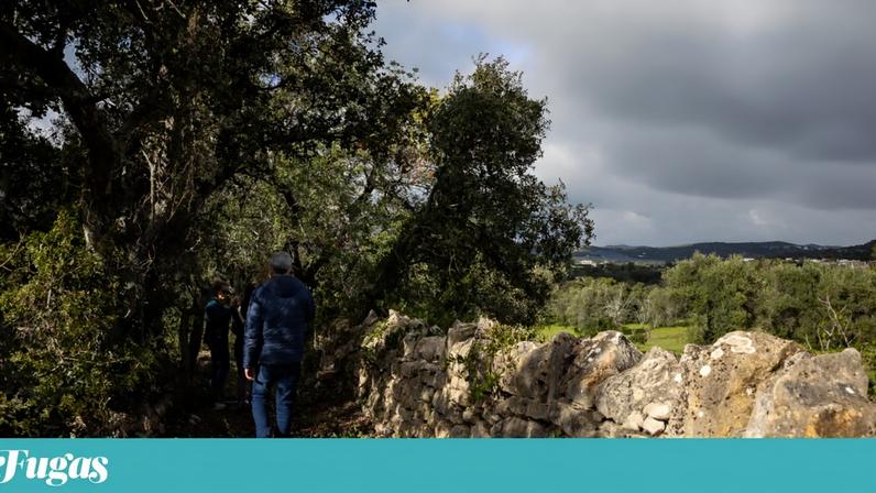 A classificação de caminhos vicinais daria origem ao Festival de Caminhadas de Santa Bárbara de Nexe (Faro)