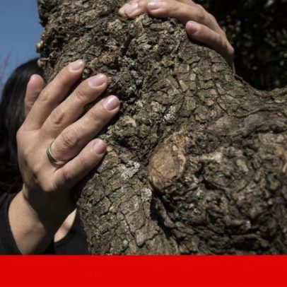 Teleassistência a vítimas de violência doméstica passa para o Porto com equipa dedicada