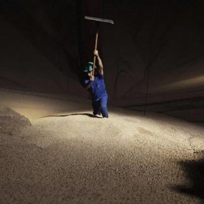 Grandes empresas abandonam moratória da soja na Amazónia