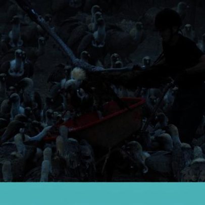 Histórias de Aragão na Catalunha incluem o homem-abutre