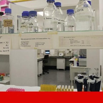 FCT transfere 11,4 milhões de euros para 1445 novas bolsas de doutoramento