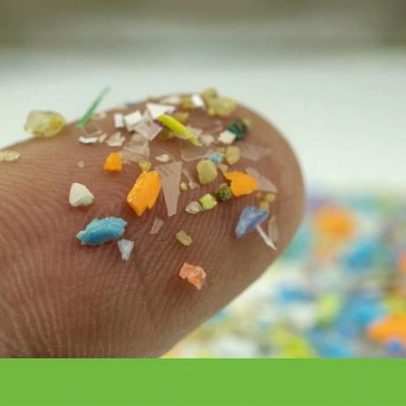 Descobertas de 2025 esclarecem impactos dos microplásticos