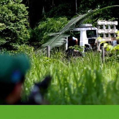 Desflorestação na Amazónia e no Cerrado cai 9% em 2025